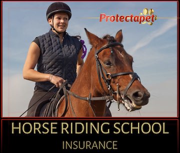 Woman on a brown horse promoting Horse riding school Insurance by Protectapet 